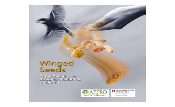 Winged seed : Three decade of strategic planning & dispersal